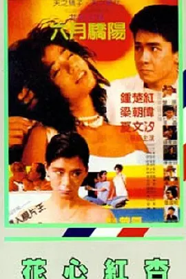 国产综合视频