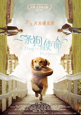 a级网址